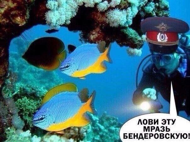0\ ЛОВИ ЭТУ МРАЗЬ БЕНДЕРОВСКУЮ!