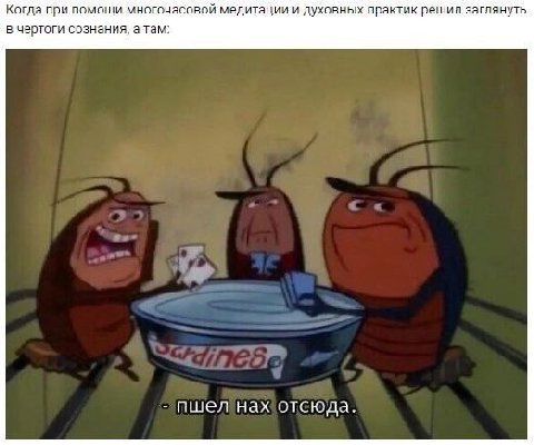 Когда при помощи многочасовой медитации и духовных практик решил заглянуть в чертоги сознания, а там: пшел нах отсюда.