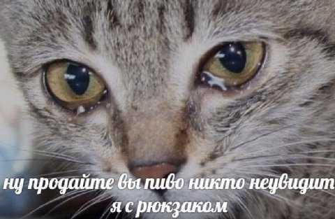 ну продайте вы пиво никто ясрюкзаком