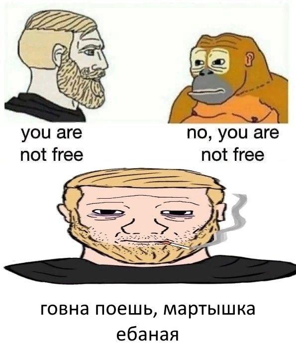 you are no, you are not free not free говна поешь, мартышка ебаная