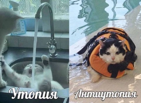 a i= к 7 Утопия, a