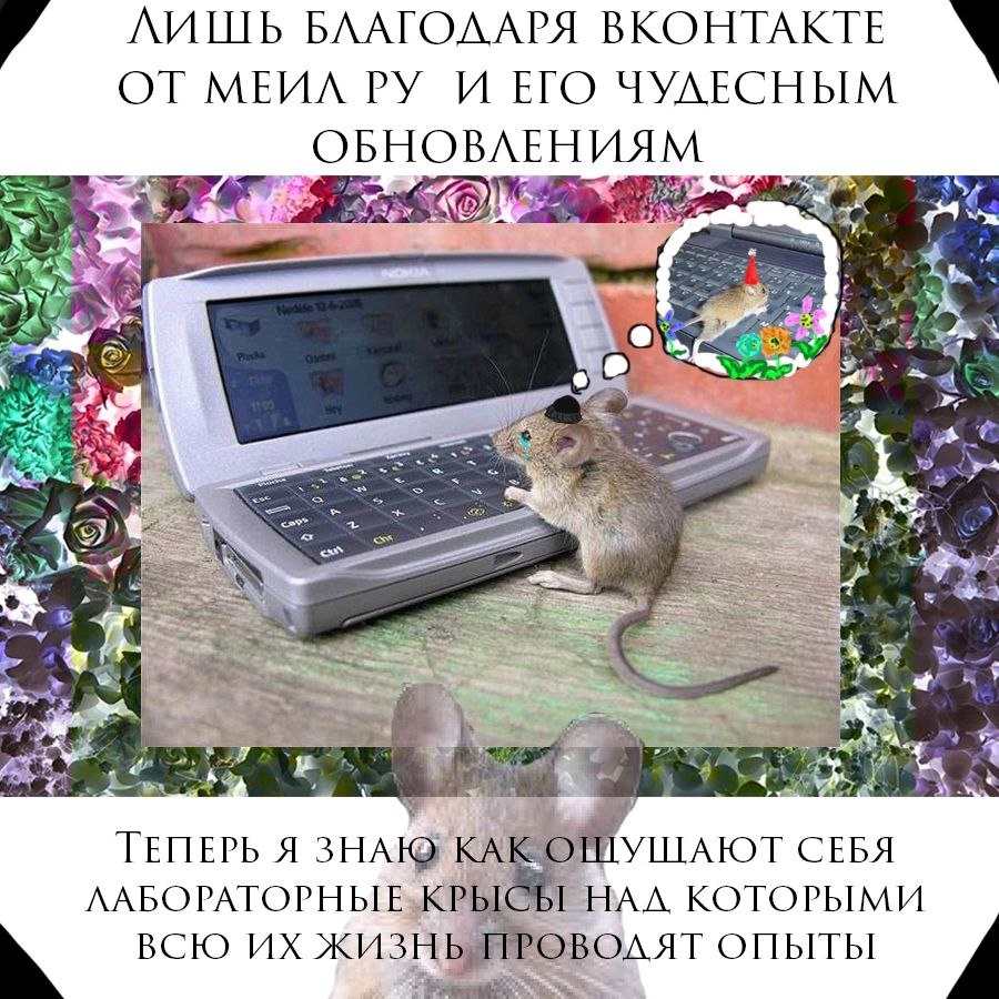4 ЛИШЬ БЛАГОДАРЯ ВКОНТАКТЕ А ОТ МЕИЛ И ЕГО ЧУЛЕСНЫМ ОБНОВЛЕНИЯМ 4 a у “i ТЕПЕРЬ Я ЗНАЮ КАК СЕБЯ НАЛ КОТОРЫМИ ВСЮ ОПЫТЫ