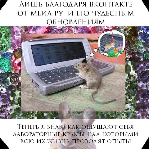 4 ЛИШЬ БЛАГОДАРЯ ВКОНТАКТЕ А ОТ МЕИЛ И ЕГО ЧУЛЕСНЫМ ОБНОВЛЕНИЯМ 4 a у “i ТЕПЕРЬ Я ЗНАЮ КАК СЕБЯ НАЛ КОТОРЫМИ ВСЮ ОПЫТЫ