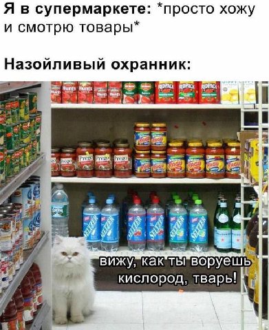 Я в супермаркете: *просто хожу и смотрю товары* Назойливый охранник: я. 1% 32 2838 вижу, какты кислород, тварь! a (4