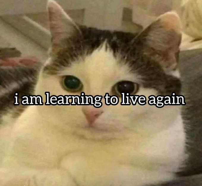 learning to live again