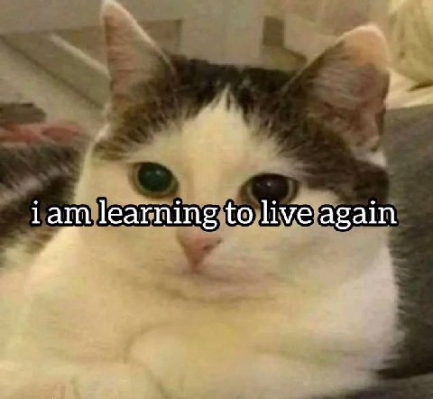 learning to live again