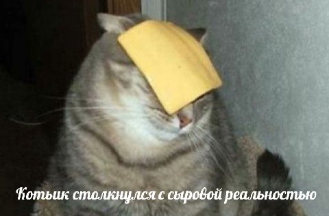 Потьик столкнулся с сыровой реальностью