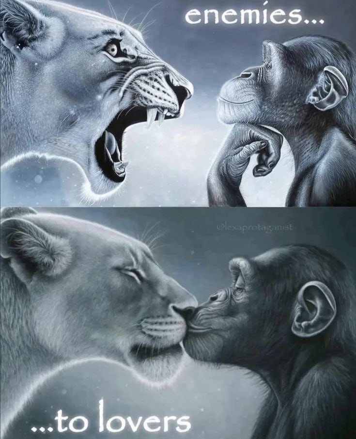 enemies... 5 lovers