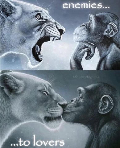 enemies... 5 lovers