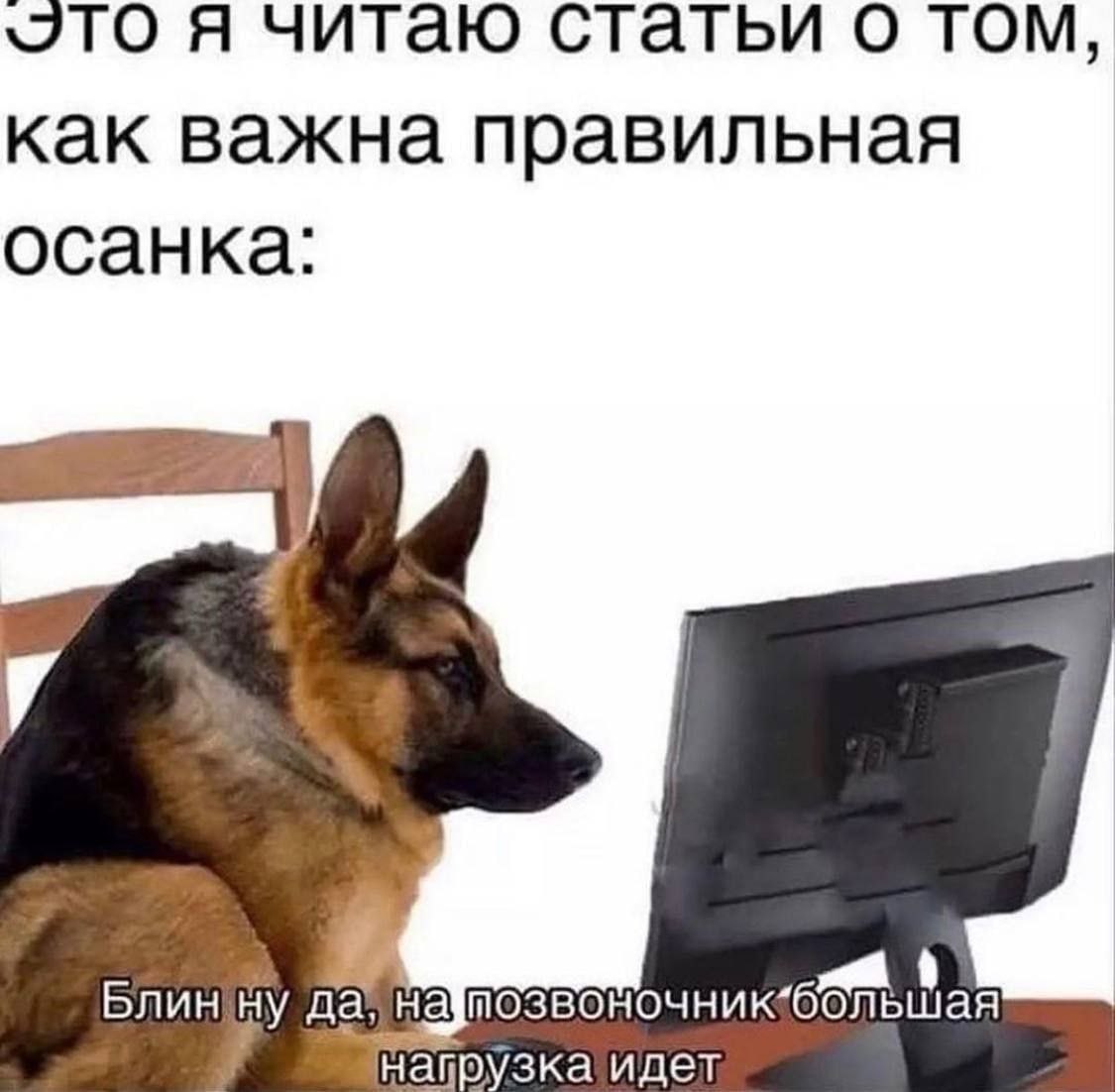 Я читаю статьи о TOM, как важна правильная осанка: большая БЛИН ну да, идет