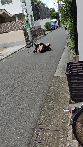 alt girls fighting, japan: