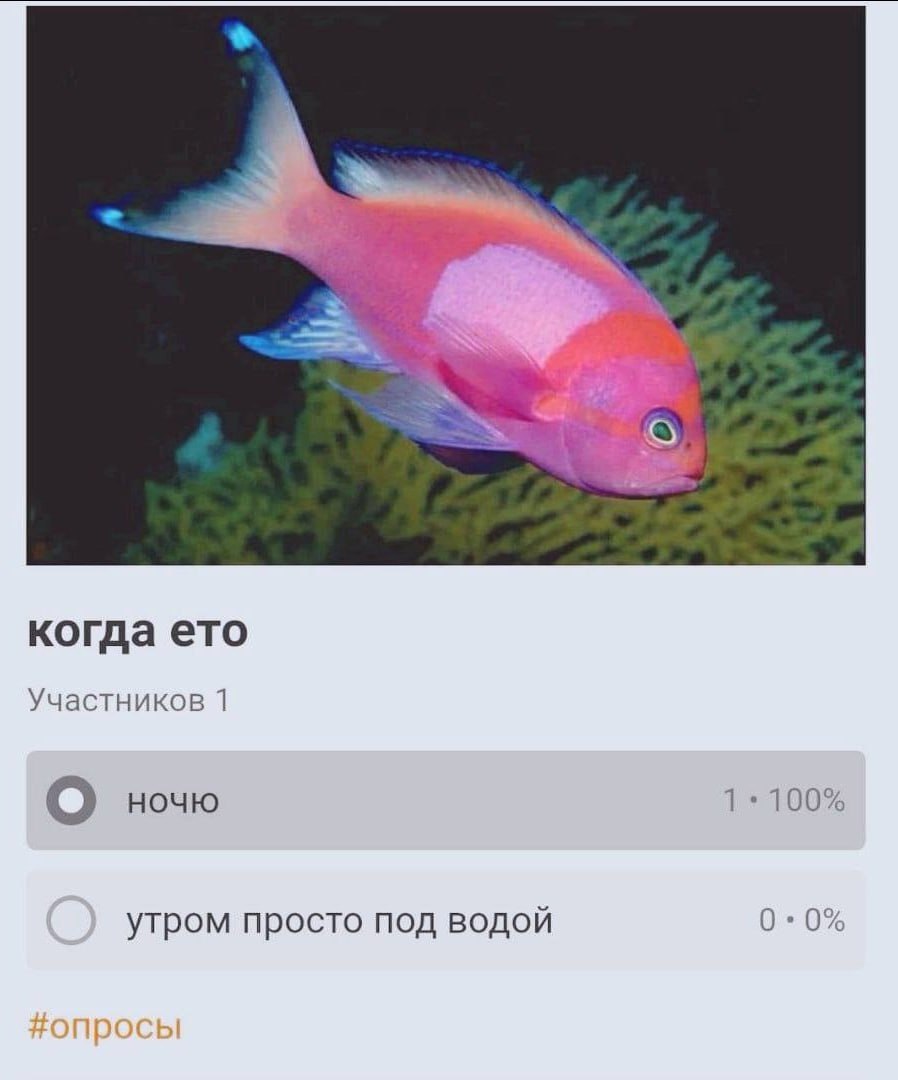 когда ето Участников 1 О ночю 1* 100% 0.0% утром просто под водой