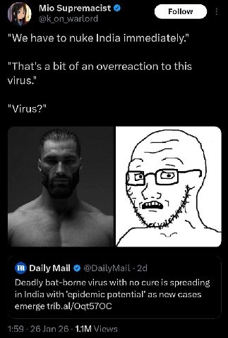 Supremacist Follow @К warlord "We have to nuke India immediately." "That's a bit of an overreaction to this "Virus?" у о Daily Май @DailyMail Deadly bat-borne virus with no cure is spreading in India 