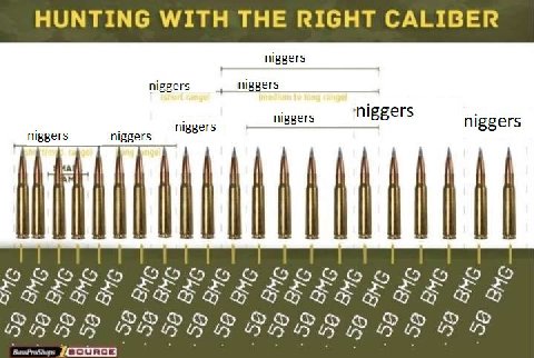HUNTING WITH THE RIGHT CALIBER niggers niggers niggers niggers niggers A OOOOH 22008