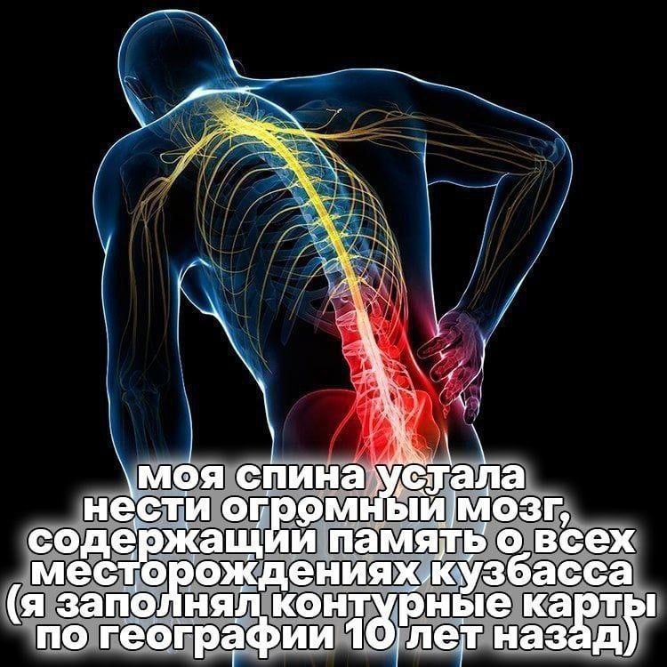и \моя спина нести огром мозг, содержащ и память о всех мес орождениях кузбасса (я заполнял контурные карт по географии 10 net наз