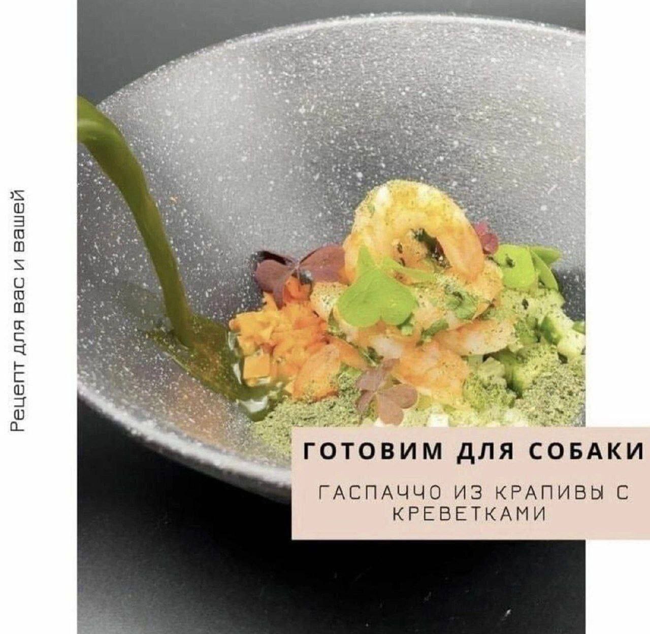 5 Ana БАКИ ГАСПАЧЧО ИЗ КРАПИВЫ С КРЕВЕТКАМИ