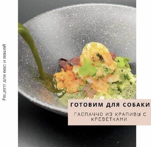 5 Ana БАКИ ГАСПАЧЧО ИЗ КРАПИВЫ С КРЕВЕТКАМИ