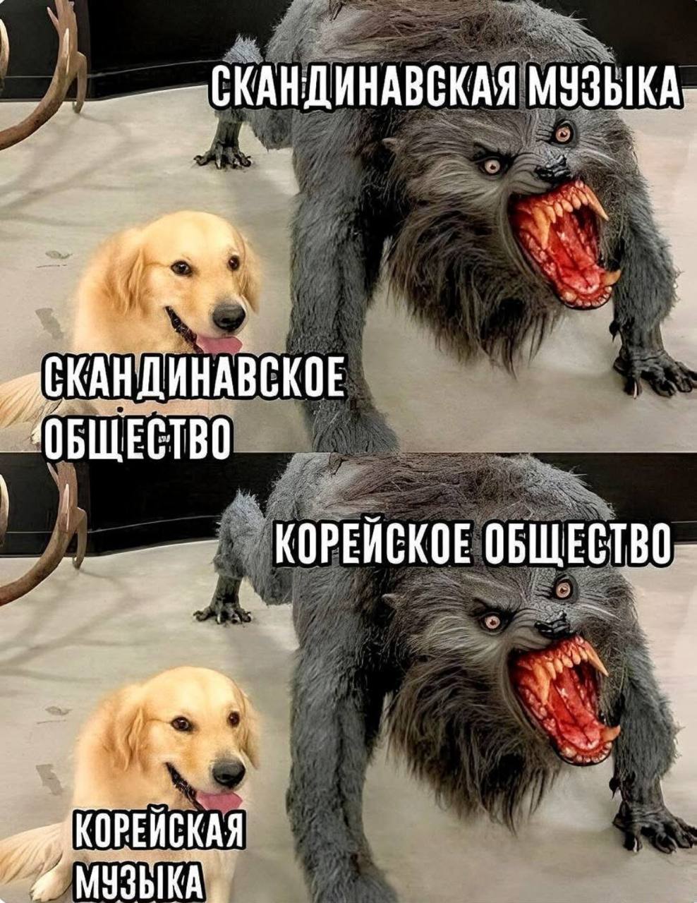 СКАНДИНАВСКАЯ МУЗЫКА Hit к 4% ОБЩЕСТВО 1 КОРЕЙСКОЕ ОБЩЕСТВО к КОРЕЙСКАЯ