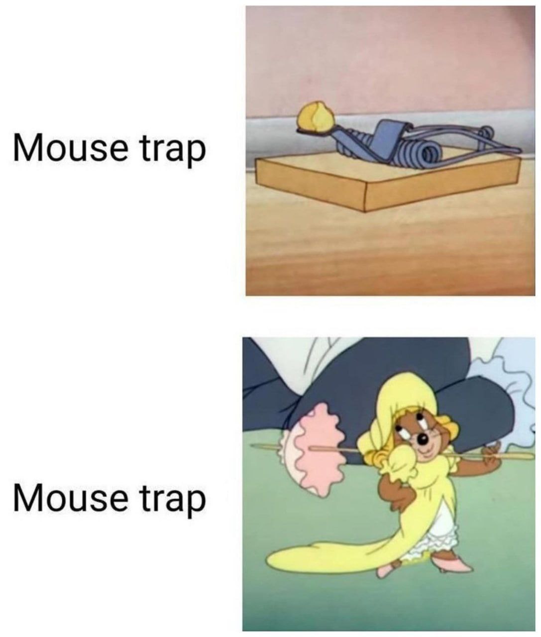 Mouse trap Mouse trap