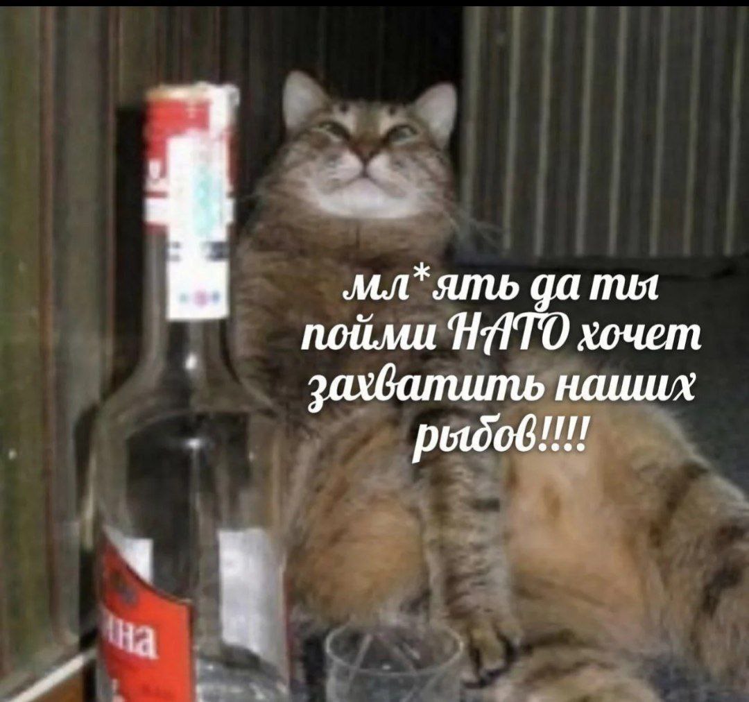 мл*ять да ты пойми HATO хочет наишх a