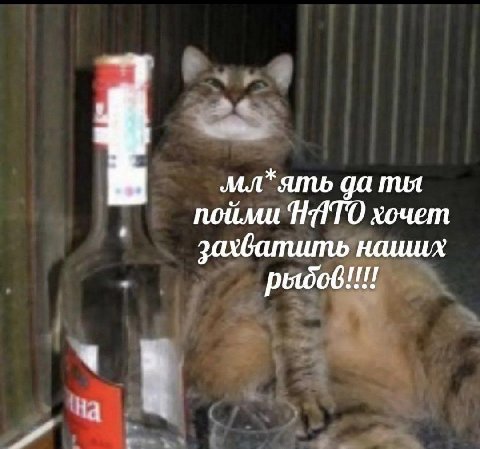 мл*ять да ты пойми HATO хочет наишх a