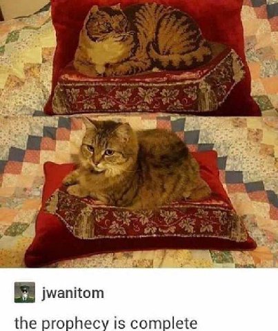 the prophecy is complete