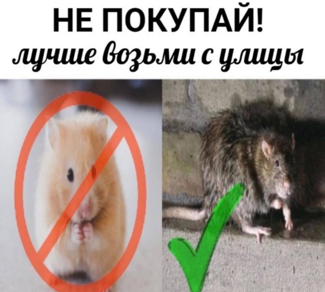 НЕ ПОКУПАЙ! лучше возьми с улицы