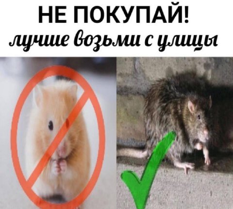НЕ ПОКУПАЙ! лучше возьми с улицы