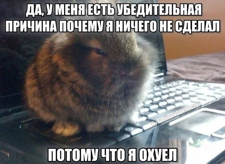 ДА, У МЕНЯ ЕСТЬ УБЕДИТЕЛЬНАЯ ПРИЧИНА ПОЧЕМУЯ НИЧЕГО НЕ СДЕЛАЛ потомучто я