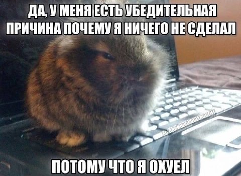 ДА, У МЕНЯ ЕСТЬ УБЕДИТЕЛЬНАЯ ПРИЧИНА ПОЧЕМУЯ НИЧЕГО НЕ СДЕЛАЛ потомучто я