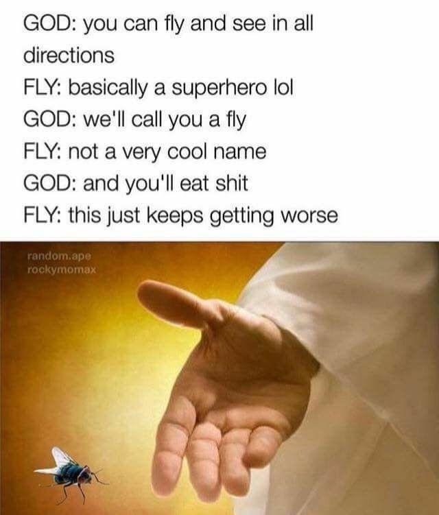 GOD: you can fly and see in all directions FLY: basically a superhero lol GOD: we'll call you a fly FLY: not a very cool name GOD: and you'll eat shit FLY: this just keeps getting worse Я