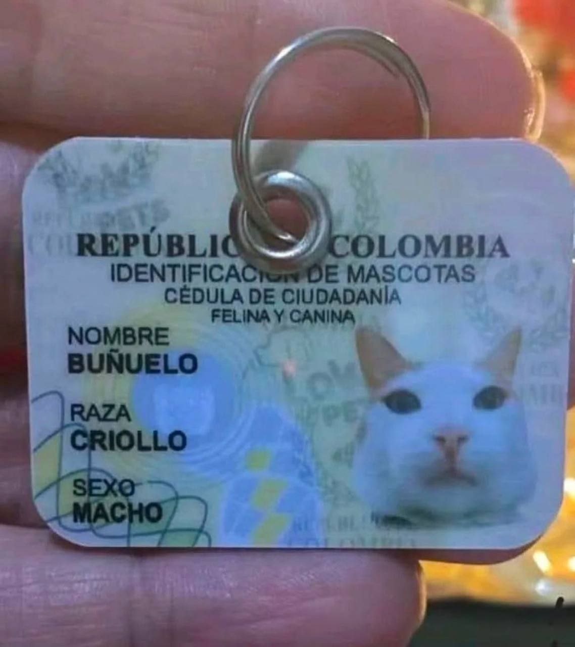 REPUBLIC DLOMBIA IDENTIFICAC MASCOTAS CEDULA CIUDADANIA FELINA У CANINA NOMBRE BUNUELO