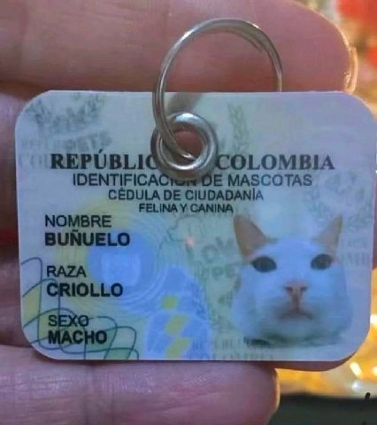 REPUBLIC DLOMBIA IDENTIFICAC MASCOTAS CEDULA CIUDADANIA FELINA У CANINA NOMBRE BUNUELO