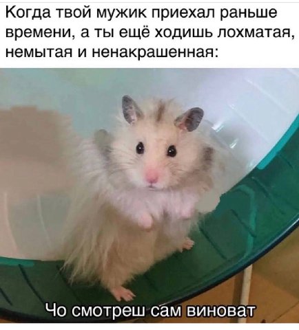 Когда твой мужик приехал раньше времени, а ты ещё ходишь лохматая, немытая и ненакрашенная: смотреш сам виноват