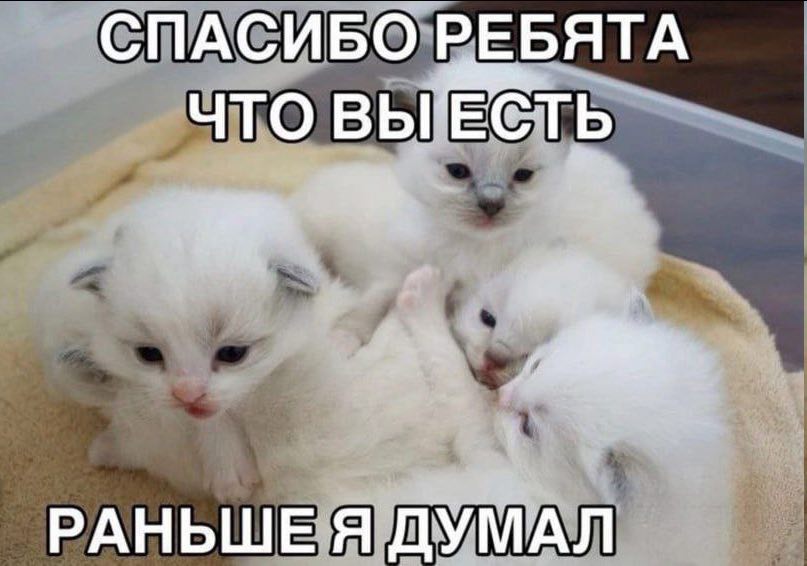 СПАСИБО РЕБЯТА что выть РАНЬШЕ Я ДУМАЛ