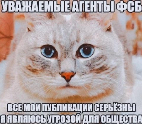 УВАЖАЕМЫЕ АГЕНТЫ ФСБ BCE ПУБЛИКАЦИИ ЯЯВЛЯЮСЬ УГРОЗОЙ ДЛЯ ОБЩЕСТВА