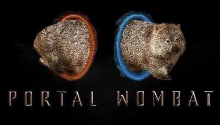 a 3 2 #5 PORTAL WUMGAT