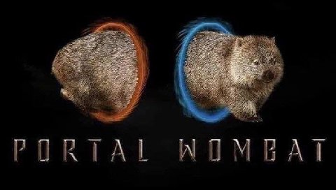 a 3 2 #5 PORTAL WUMGAT