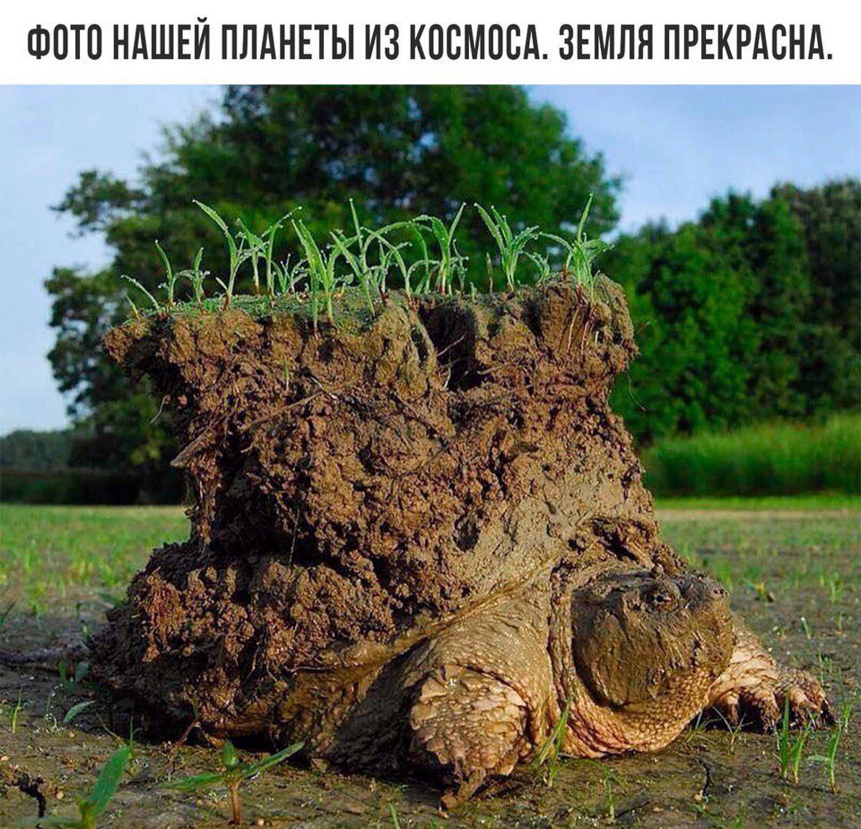 ФОТО НАШЕЙ ПЛАНЕТЫ ИЗ КОСМОСА. ЗЕМЛЯ ПРЕКРАСНА.