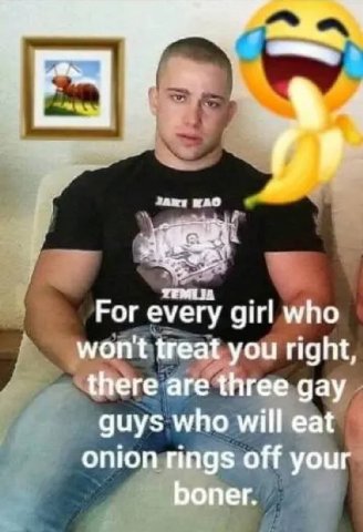 МАО For every girl who wont treat you right, there are three gay guys who will eat onion rings off your boner.