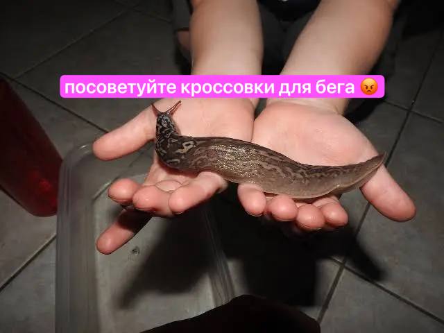 посоветуйте кроссовки для бега