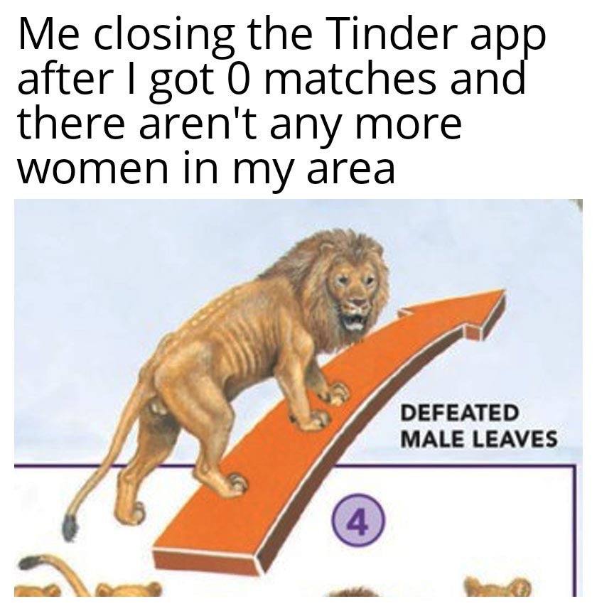 Me closing the Tinder app after got О matches an there aren't any more women in my area DEFEATED MALE LEAVES
