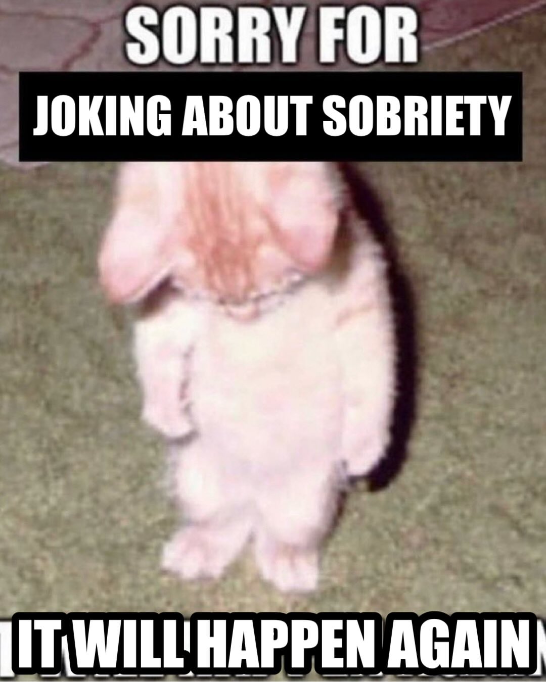 SORRY FOR JOKING ABOUT SOBRIETY sue See WILL! HAPPEN