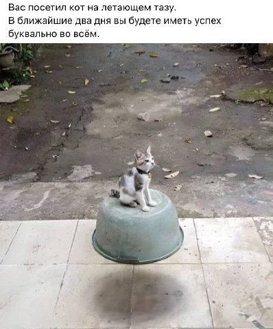 Вас посетил кот на летающем тазу. В ближайшие два дня вы будете иметь успех буквально во всём.