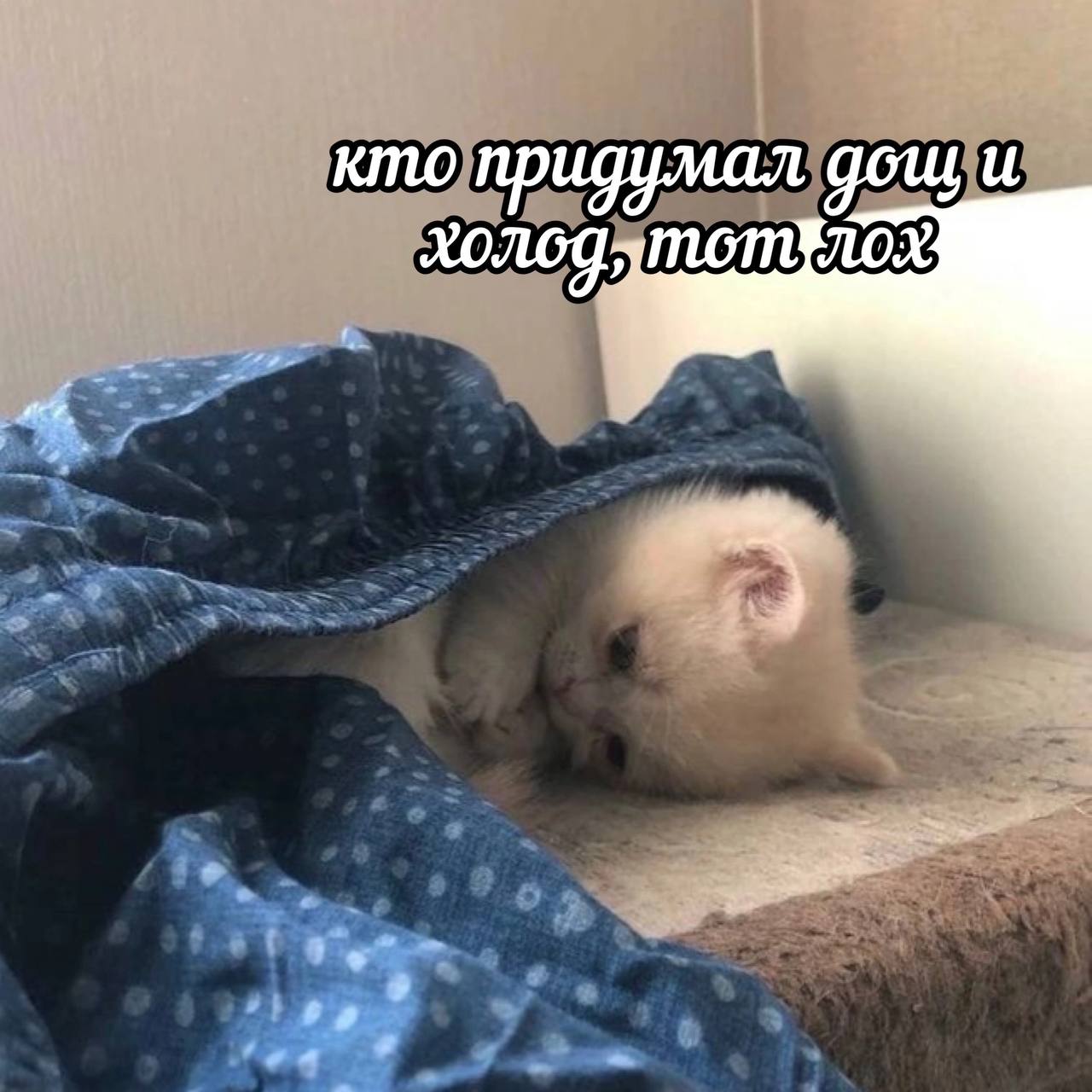 кто придумал и