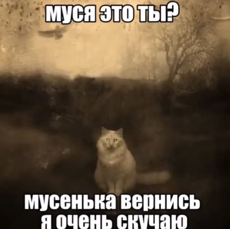 муся 3TO'TbIP мусенька вернись я очень скучаю
