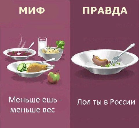 МИФ ПРАВДА Меньше ешь Лол ты в России меньше вес