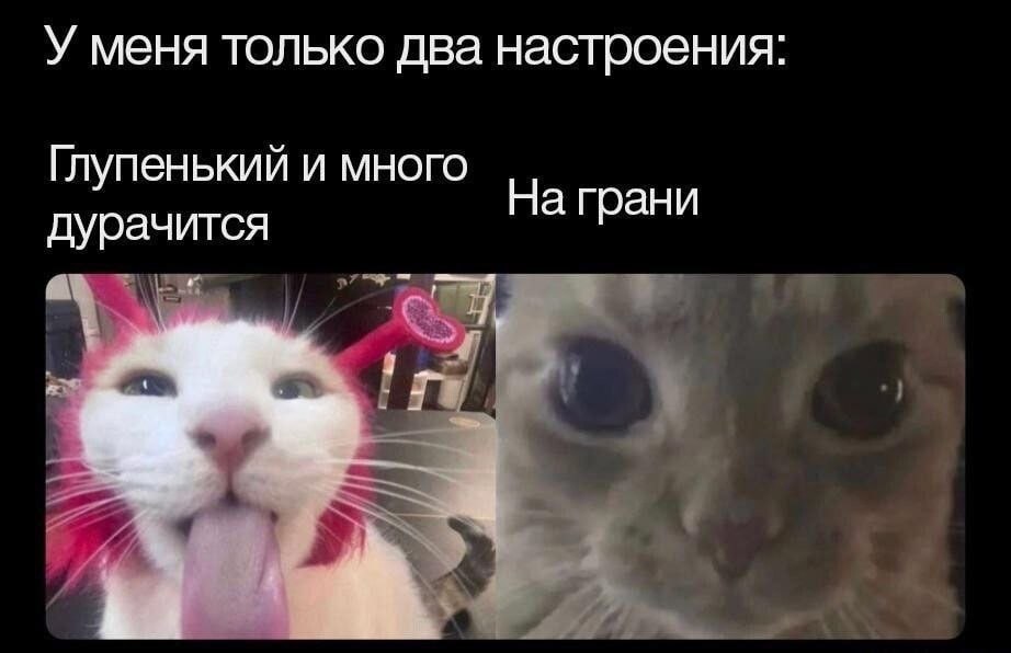 У меня только два настроения Глупенький и много На грани дурачится