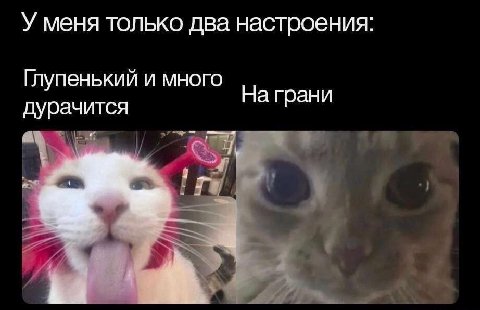 У меня только два настроения Глупенький и много На грани дурачится