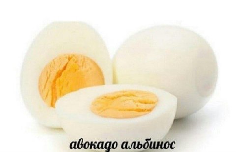 as О i 36 у С gor